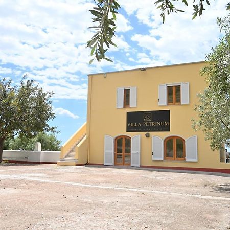 Villa Petrinum B&B Mondragone Esterno foto